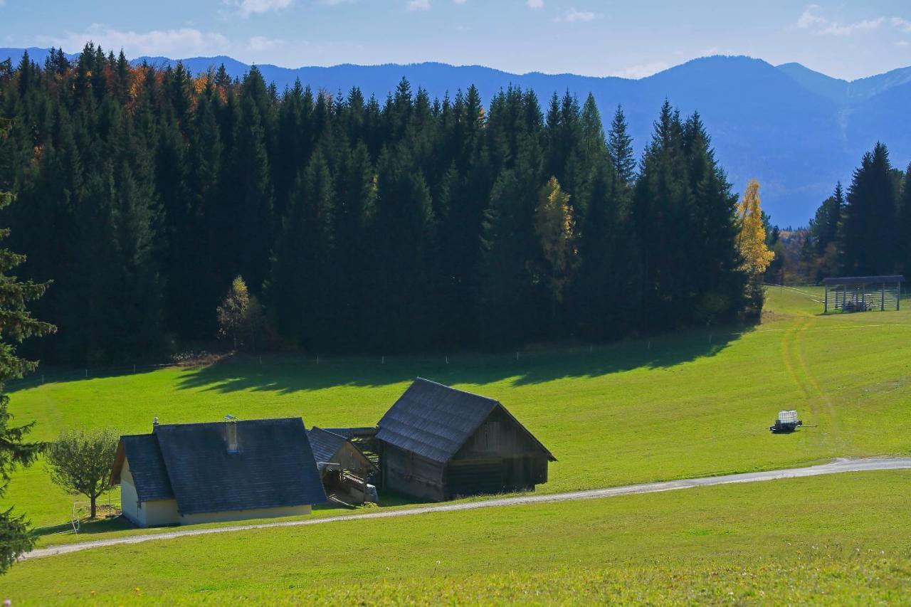 Cottage Zoja Bohinjska Bistrica Zewnętrze zdjęcie